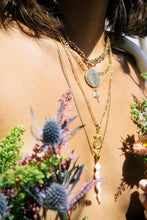 Load image into Gallery viewer, Pertinax Coin Choker