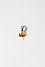 Load image into Gallery viewer, Shark Tooth Gold Earring