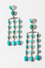 Load image into Gallery viewer, Dakota Earrings