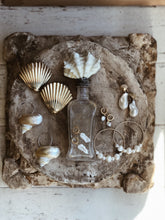 Load image into Gallery viewer, Turbo Shell Earrings
