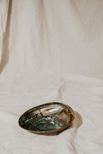 Load image into Gallery viewer, Treasured Things Abalone Offering Bowl
